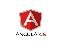 icon Angular JS